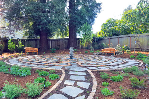 Beautify and Protect Your Property with Low Water Landscaping!